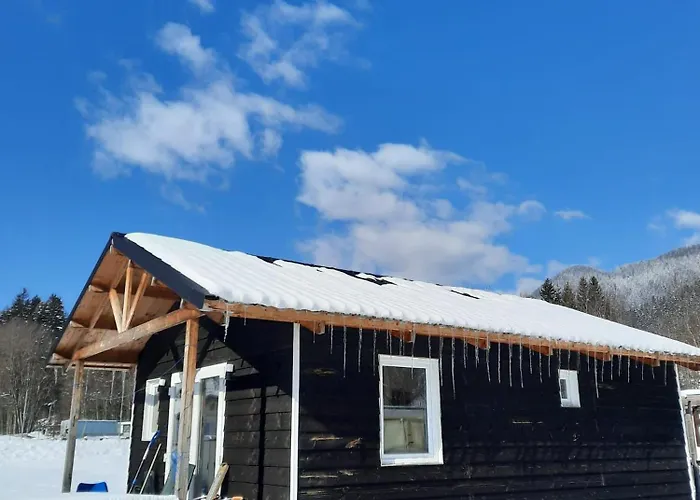 בית נופש Parc Sonnleiten - 4 Persoons